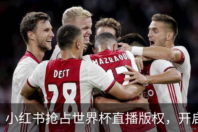 小红书抢占世界杯直播版权，开启全民观赛新纪元！