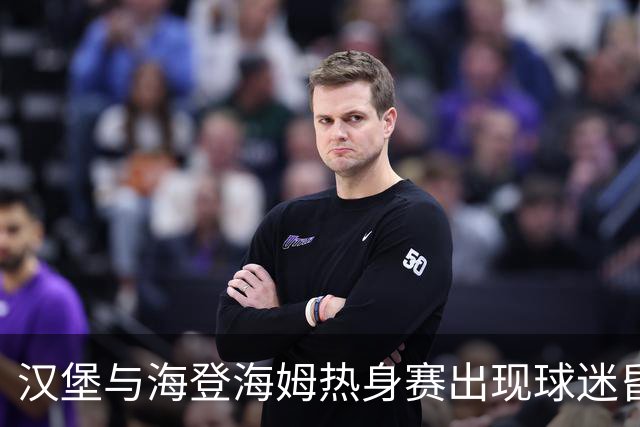 汉堡与海登海姆热身赛出现球迷昏迷，队医和救护车先后急救