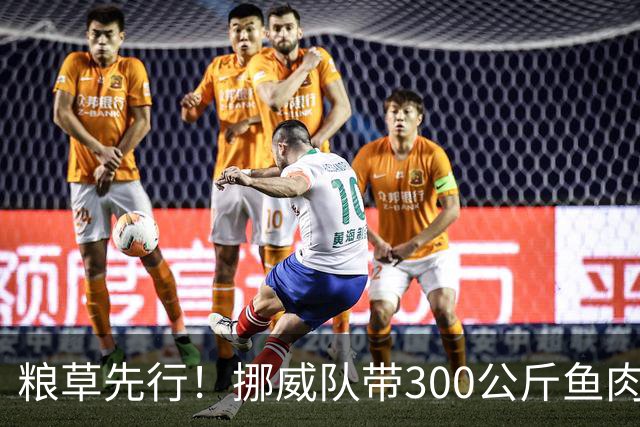 粮草先行！挪威队带300公斤鱼肉+116公斤奶酪赴美踢世界杯